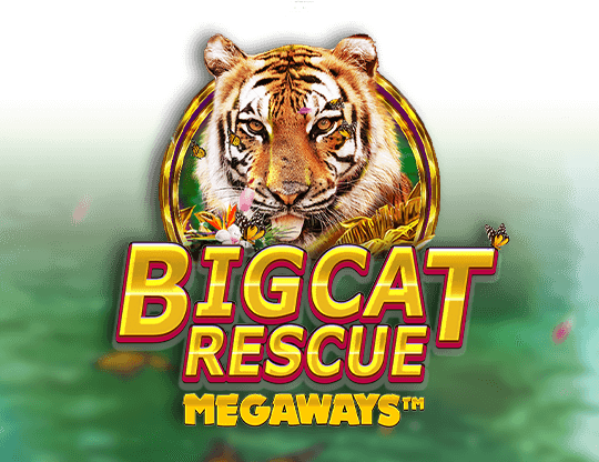 Big Cat Rescue สล็อตแตกง่าย